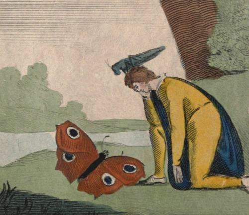 The Butterfly's Funeral